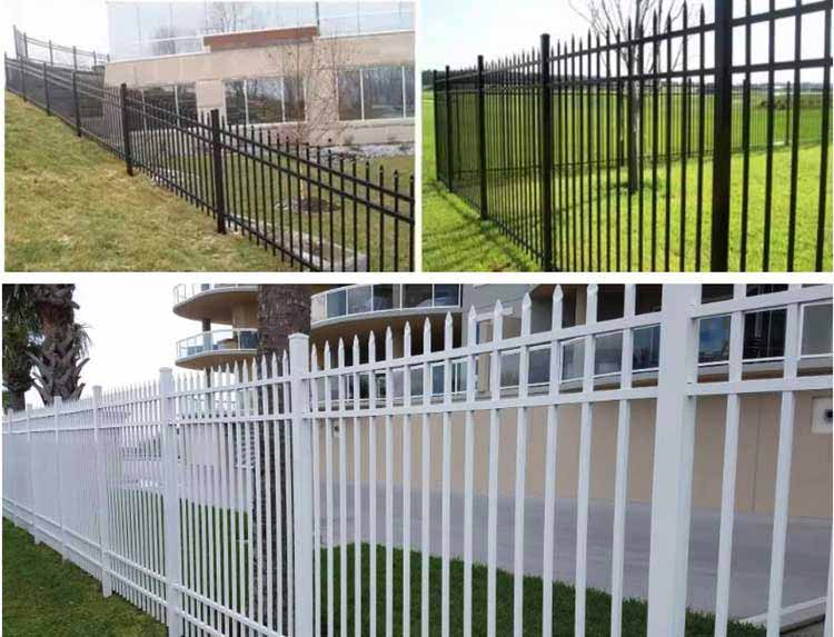 1724113353113975.jpg 3.2.jpg