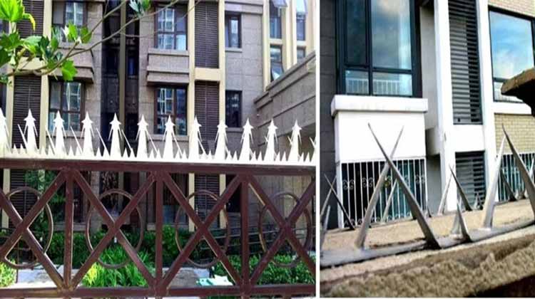 1745886670425861.jpg 1.222.jpg