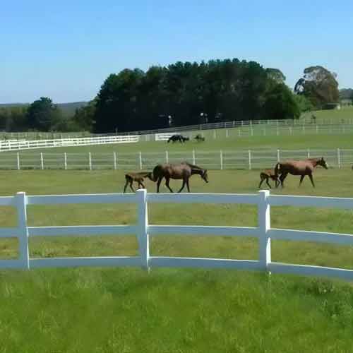 Eco-Friendly Split Rail Fencing